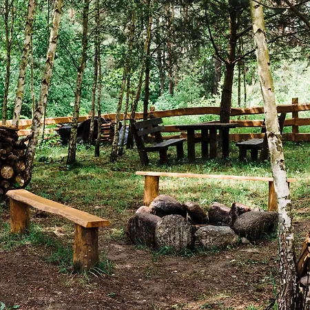Wilczek Olsztynek